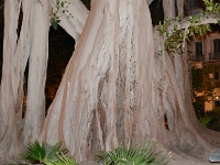 Alicante-065